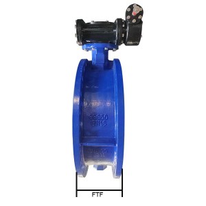 FTF Flanged Butterfly valve