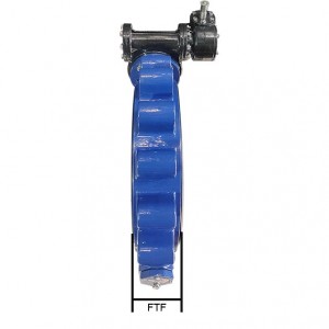 FTF lUG Butterfly valve