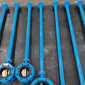 Long-Stem-double-Flange-Butterfly-Valves