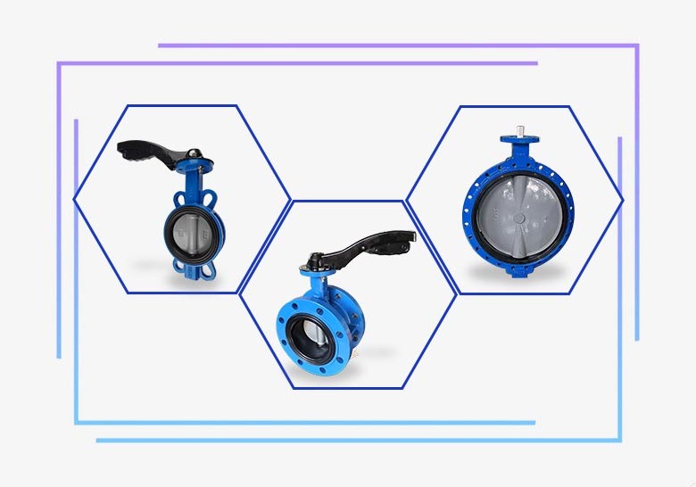 Valve Butterfly Wafer Vs Valve Lolo Flanged Double