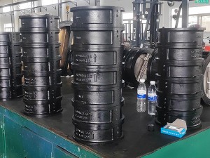 wafer check valves